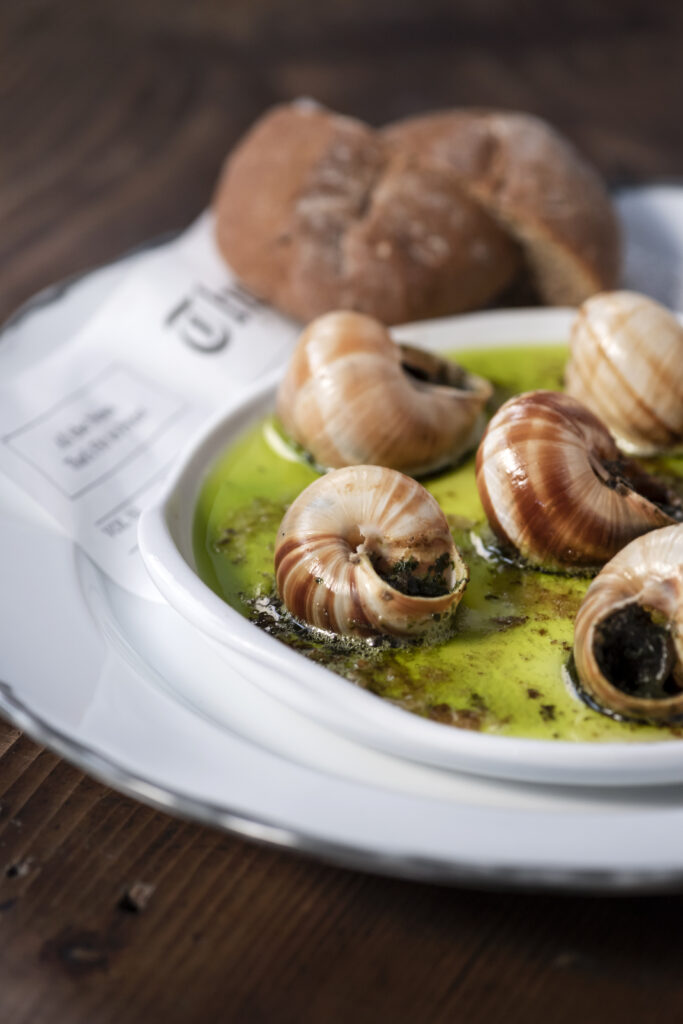 Lumache Bourguignonne 1 Homepage svg+xml;charset=utf