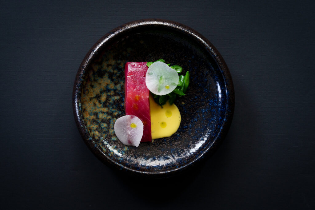 SBF00274 Homepage svg+xml;charset=utf