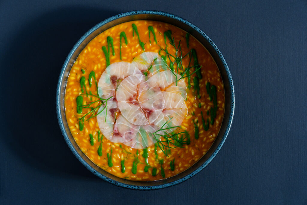 SBF00439 Homepage svg+xml;charset=utf