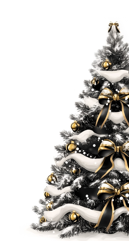 Christmas Eve in Merano (24.12.2024) albero